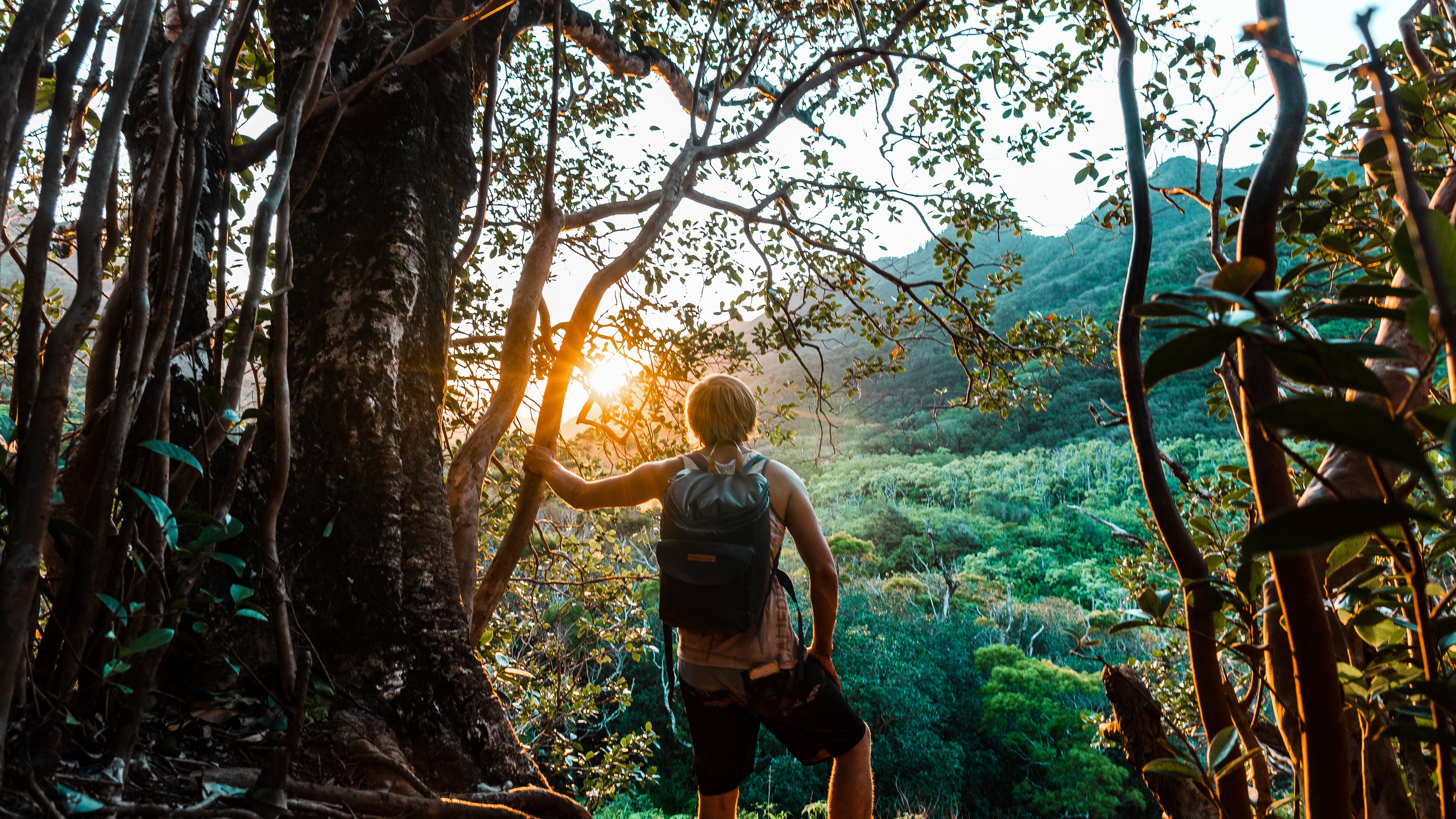 kylegoesoff standing among trees with a backpack, looking towards the sun in a forested area.